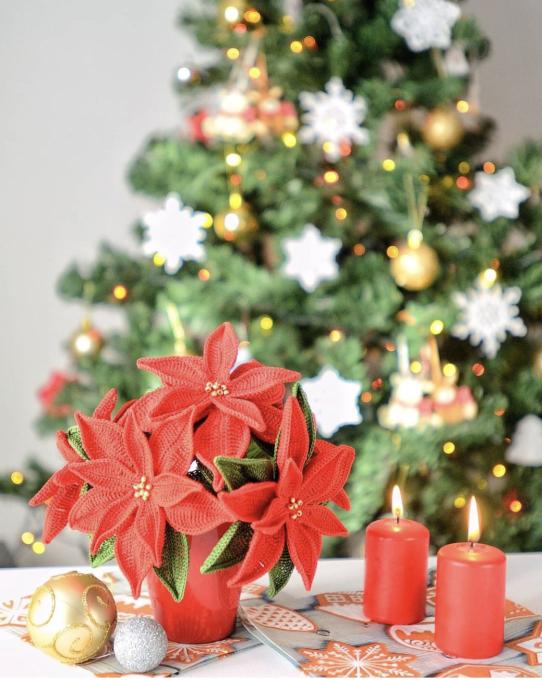Hoa trạng nguyên được nhiều người chọn làm cây trang trí trong nhà và là món quà tặng ý nghĩa trong mùa Giáng Sinh. Noel đã gần kề, cùng Lenbiz.vn thực hiện chart móc chậu hoa trạng nguyên - free pattern của Svetafirefly - để những ngày lễ thêm phần ý nghĩa nhé!