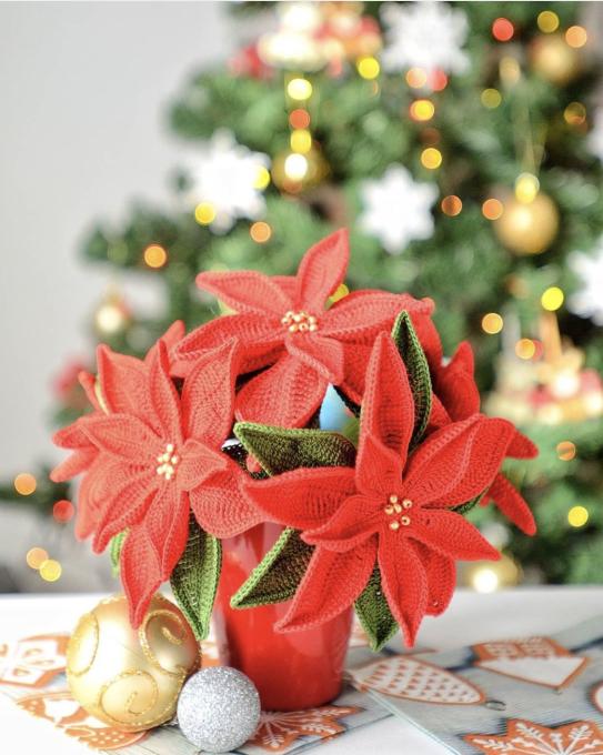 Hoa trạng nguyên được nhiều người chọn làm cây trang trí trong nhà và là món quà tặng ý nghĩa trong mùa Giáng Sinh. Noel đã gần kề, cùng Lenbiz.vn thực hiện chart móc chậu hoa trạng nguyên - free pattern của Svetafirefly - để những ngày lễ thêm phần ý nghĩa nhé!