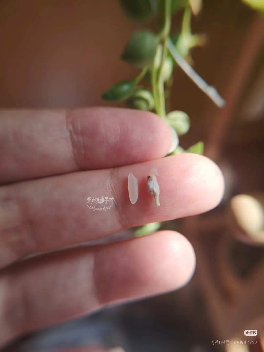 Trong thế giới đan móc, cụm từ “pháp sư Trung Hoa” đã trở thành một meme quen thuộc – vừa hài hước, vừa đầy sự ngưỡng mộ. Nó dùng để chỉ những nghệ nhân Trung Quốc có khả năng tạo ra tác phẩm móc siêu thực, nhìn như dùng phép thuật chứ không phải sợi len bình thường nữa. Cùng Lenbiz tìm hiểu lý do cái tên này ra đời và lan truyền mạnh trong cộng đồng lenbiz nha!